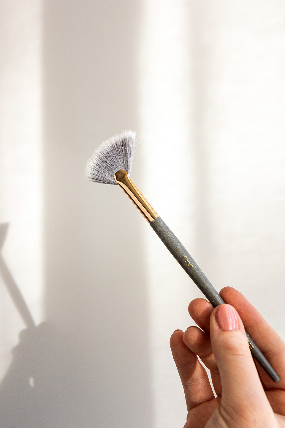 fan brush 4