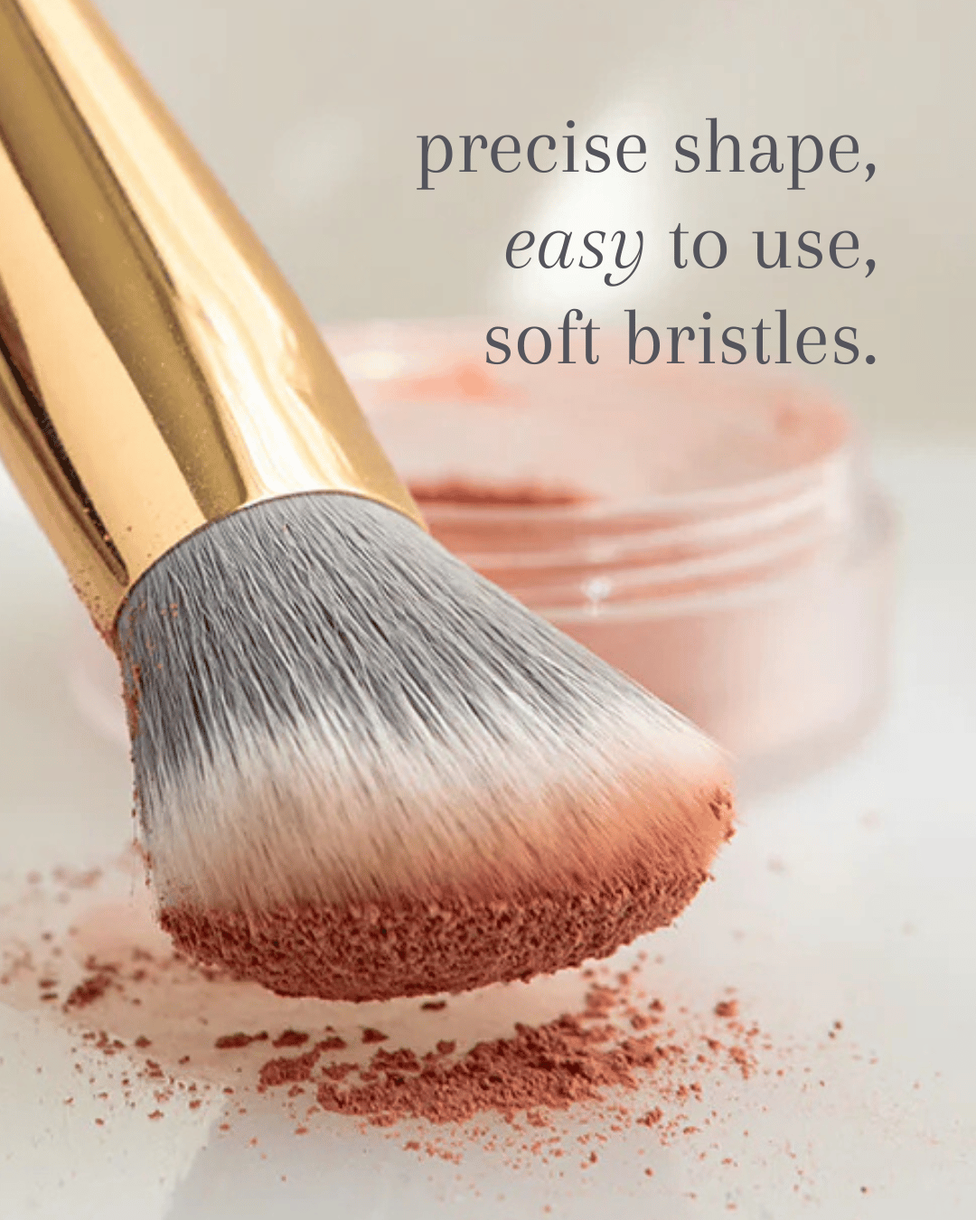 blush brush 2