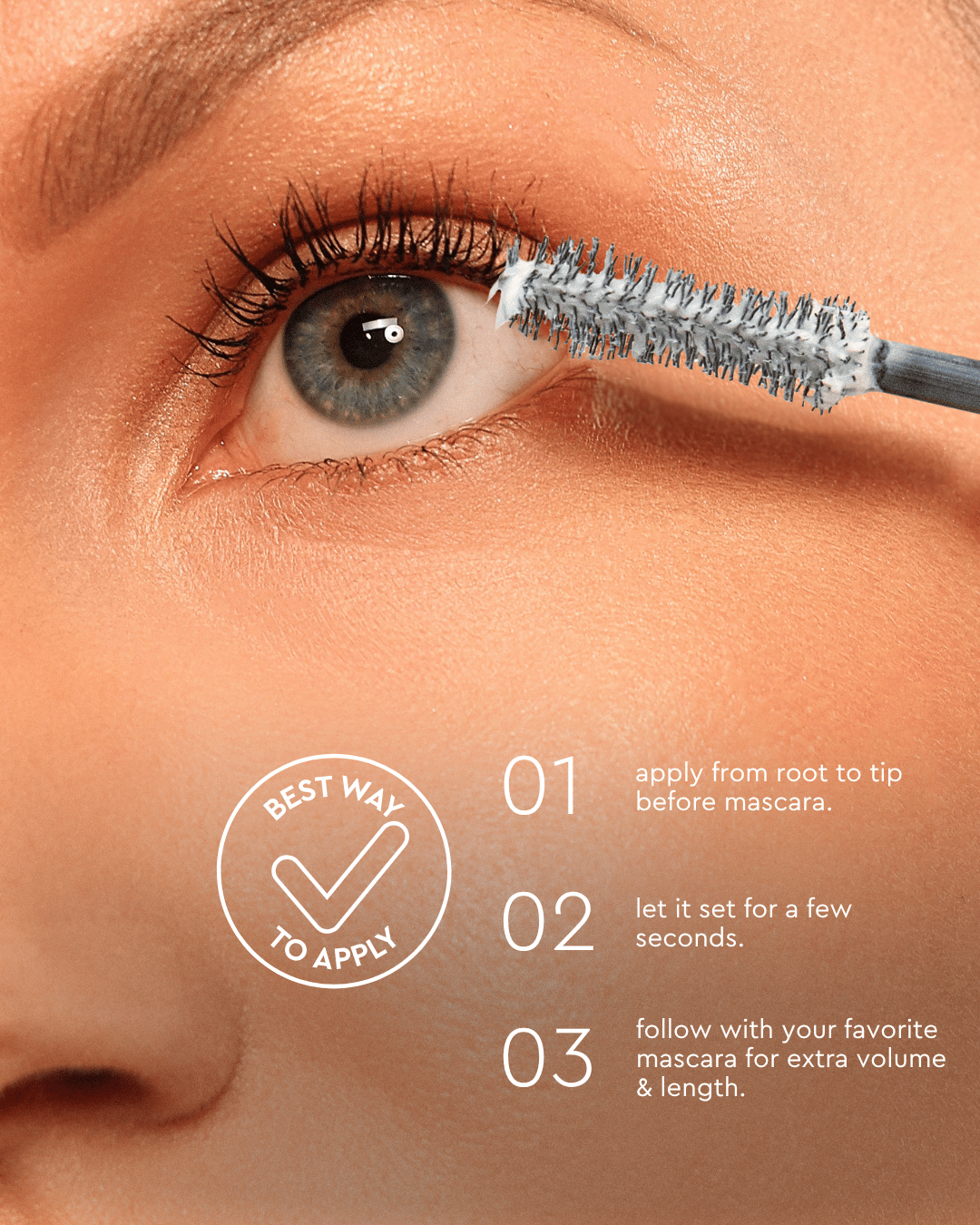 lash primer